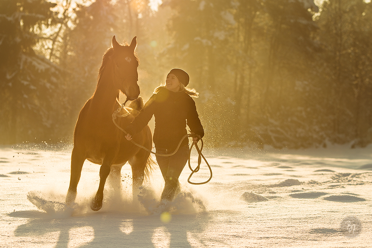 Pferdefotografie bei München: Mädchen mit Araber im Schnee