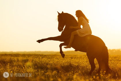 Fotoshooting mit Dancinghorses - Steigen im Sonnenuntergang | BZ Fotografie