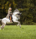 Pferdefotografie bei München: Reiterin auf majestätischem PRE-Hengst