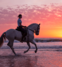 Pferde-Fotoreise Andalusien: Reiterin auf Iberer am Strand bei Sonnenuntergang