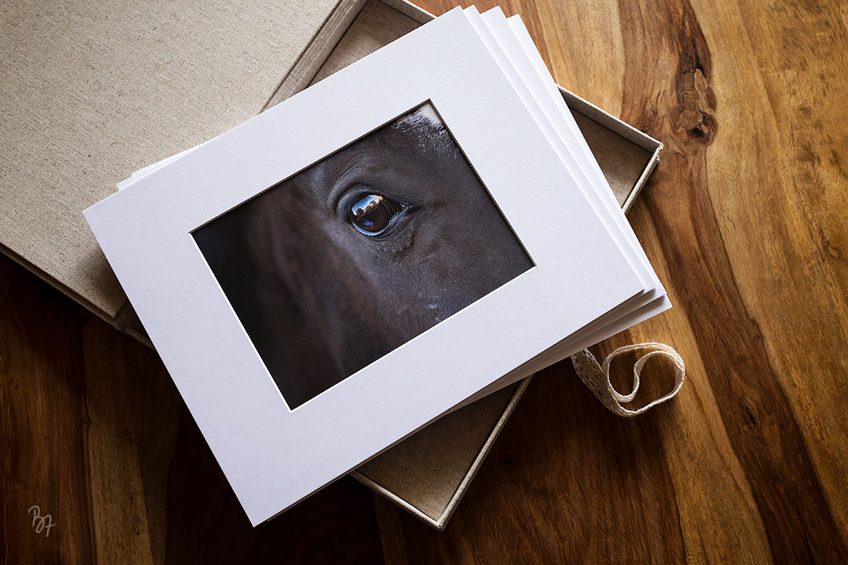 fineart-pferdefotografie-foliobox-augendetail