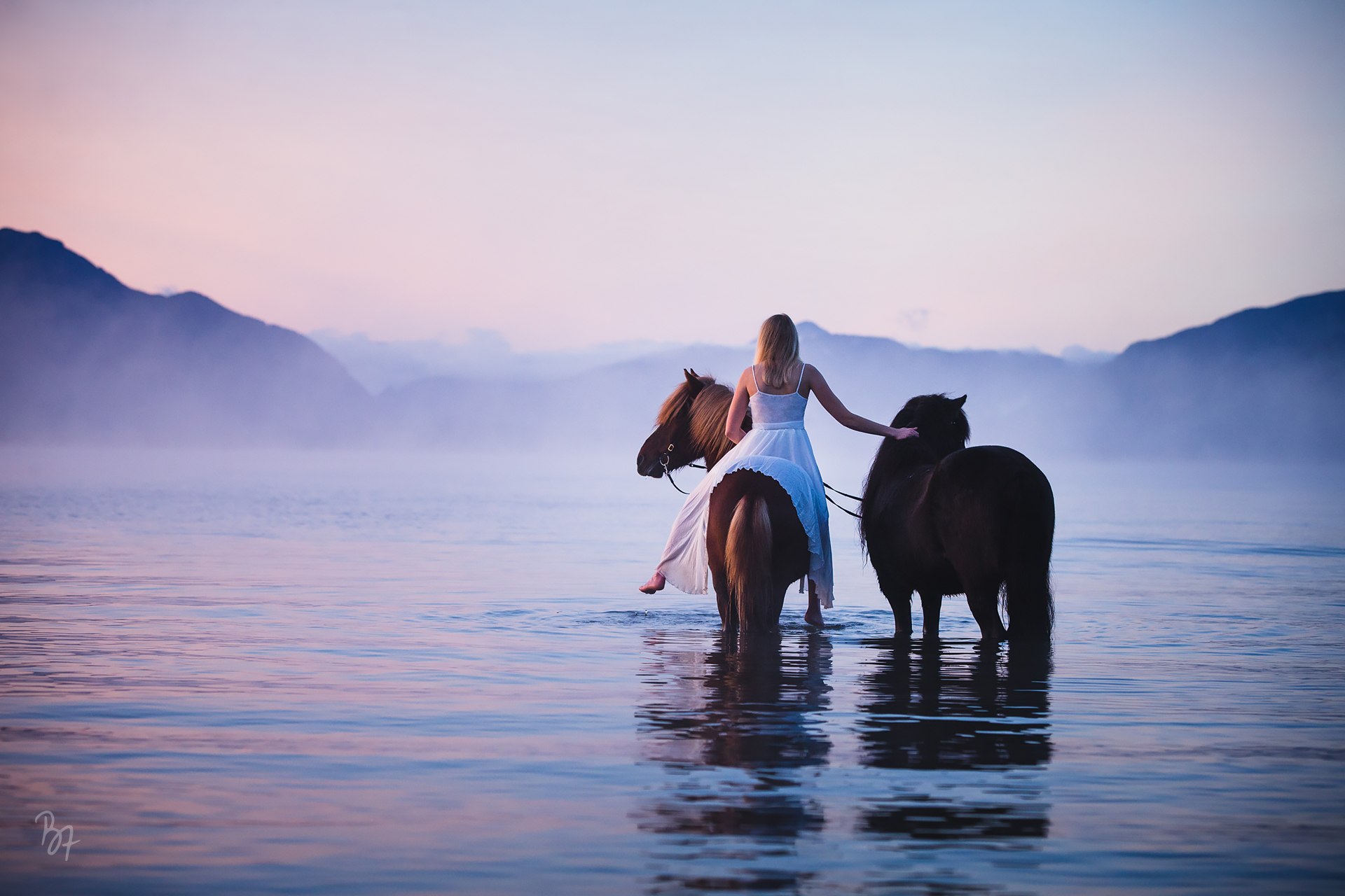 Pferdefotografie Bayern: Frau mit zwei Pferden im Wasser an einem Nebelmorgen