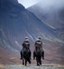 Pferdefotografie auf Island: Kveikur frá Stangarlæk Ausritt
